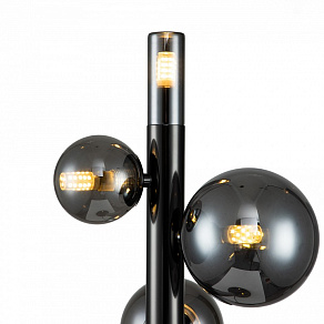 Настольная лампа декоративная Indigo Canto 11026/4T Black