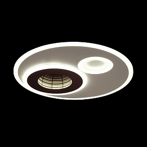 Накладной светильник Lumion Milly 4501/85CL