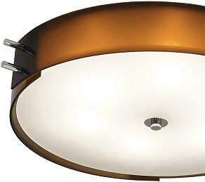 Накладной светильник ST-Luce Heggia SL484.702.06