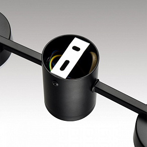 Накладной светильник Lumion Sanata 8187/4C