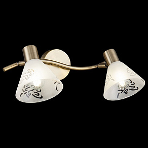 Спот Freya Paola FR7001WL-02BZ