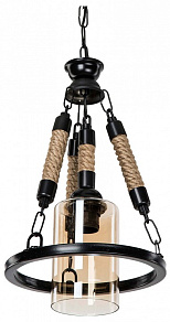 Подвесной светильник TopLight Alanna TL1645H-01BK
