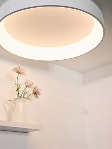 Накладной светильник Lucide Talowe Led 46100/80/31