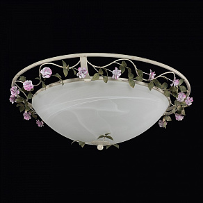 Накладной светильник Lightstar Aiola 785530