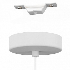 Подвесной светильник Eglo Pozueta 1 900798