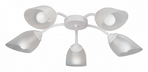 Потолочная люстра Vitaluce V3750 V3750-0/5PL