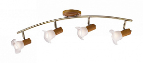 Спот Odeon Light Trum 1967/4W