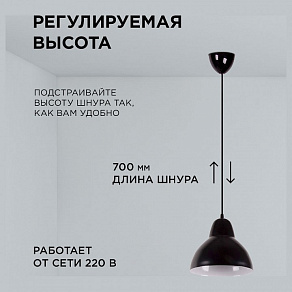 Подвесной светильник Apeyron Electrics  16-66