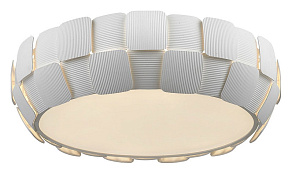 Накладной светильник Divinare Beata 1317/01 PL-6