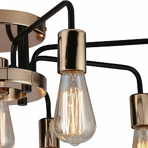 Потолочная люстра Arte Lamp 6001 A6001PL-9BK