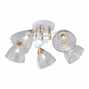 Потолочная люстра Arte Milano AMALFI-321395 321395/5A WH+FG