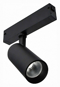 Светильник на штанге ST-Luce SKYLINE 220 ST660.446.10