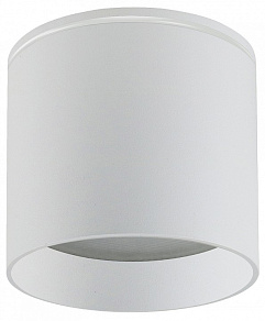 Накладной светильник Favourite Fantum 4662-1U