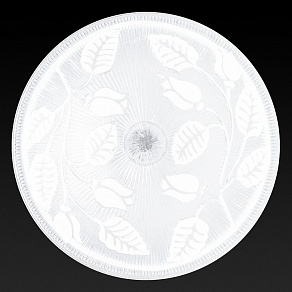 Накладной светильник TopLight Alexandra TL9121Y-02WH