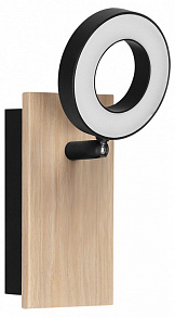 Спот Eglo RIELVES 901202