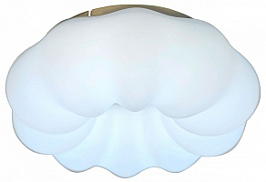 Накладной светильник Zortes SOFT ZRS.1118.2