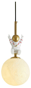 Накладной светильник Freya Cosmic FR5457CL-L36B