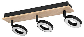 Спот Eglo RIELVES 901204