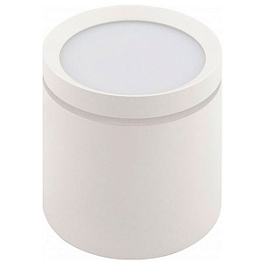 Накладной светильник Denkirs DK401 DK4016-WH