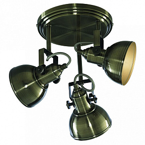Спот Arte Lamp Martin A5213PL-3AB
