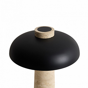 Настольная лампа декоративная Freya Sunspot FR5482TL-L7B