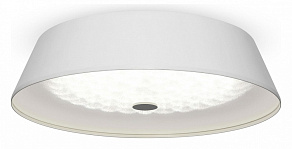 Накладной светильник Freya Cells FR10013CL-L24W