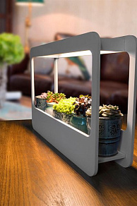 Настольная лампа декоративная Globo Dillane 93102