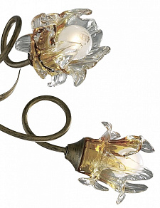 Потолочная люстра Odeon Light Berto 2126/5C