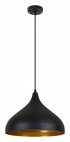 Подвесной светильник Arte Lamp Carmel A7076SP-1BK