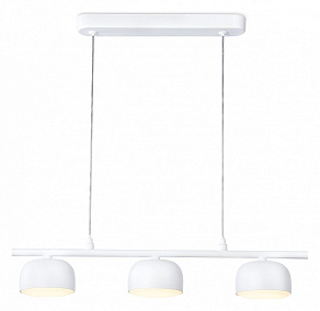 Подвесной светильник Ambrella TN TN71032