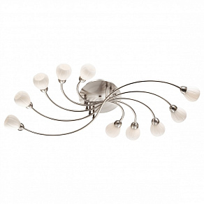 Потолочная люстра Odeon Light Akron 2469/10C