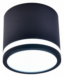 Накладной светильник Favourite Festum 4212-1C