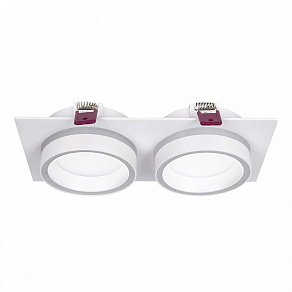 Встраиваемый светильник Favourite Vasto 4650-2C