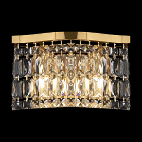 Накладной светильник Maytoni Dune DIA005WL-02G