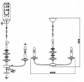Подвесная люстра EVOLUCE Attic SLE1117-203-05
