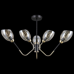 Люстра на штанге ILLUMICO  IL9960-6CSQ-79 BK AB