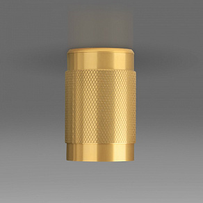 Накладной светильник Elektrostandard Tony DLN109 GU10