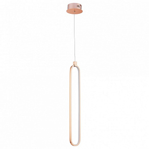 Подвесной светильник Maytoni Chain MOD017PL-L13G