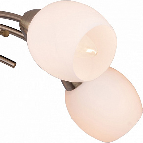 Потолочная люстра TopLight Merry TL3780X-05AB