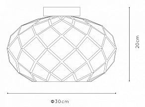 Накладной светильник Lucide Wolfram 21117/30/30