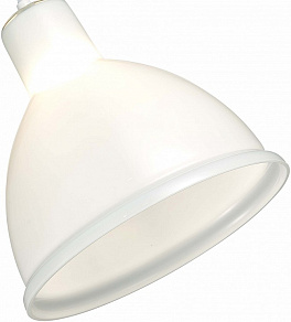 Подвесной светильник EVOLUCE Bacchi SLE114703-01