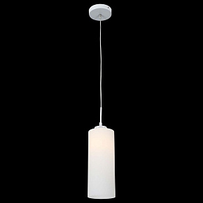 Подвесной светильник ST-Luce Sotti SL754.503.01