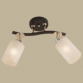 Спот Citilux Фортуна CL156121