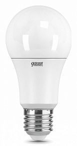 Лампа светодиодная Gauss  E27 12Вт 6500K 23232