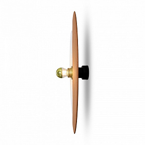 Накладной светильник Freya Carry FR5487WL-01G2