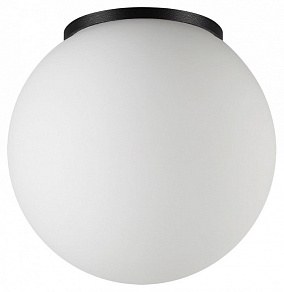 Накладной светильник Odeon Light NATURE 7124/1C