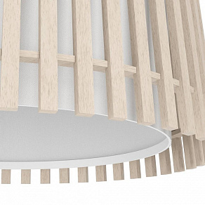 Накладной светильник Eglo Fattoria 900901