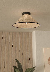 Накладной светильник Eglo Oxpark 43941