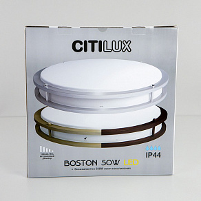 Накладной светильник Citilux Бостон CL709503N
