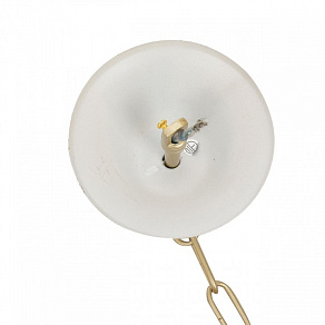 Подвесная люстра Lumion SUANA 8318/12